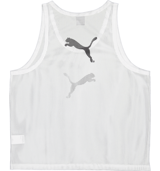 
PUMA, 
BIB, 
Detail 2
