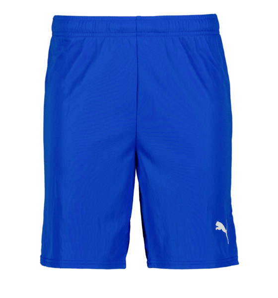 
PUMA, 
T GOAL SHORTS, 
Detail 1
