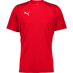 260207101102 PUMA LIGA TRG JSY  Standard Small1x1