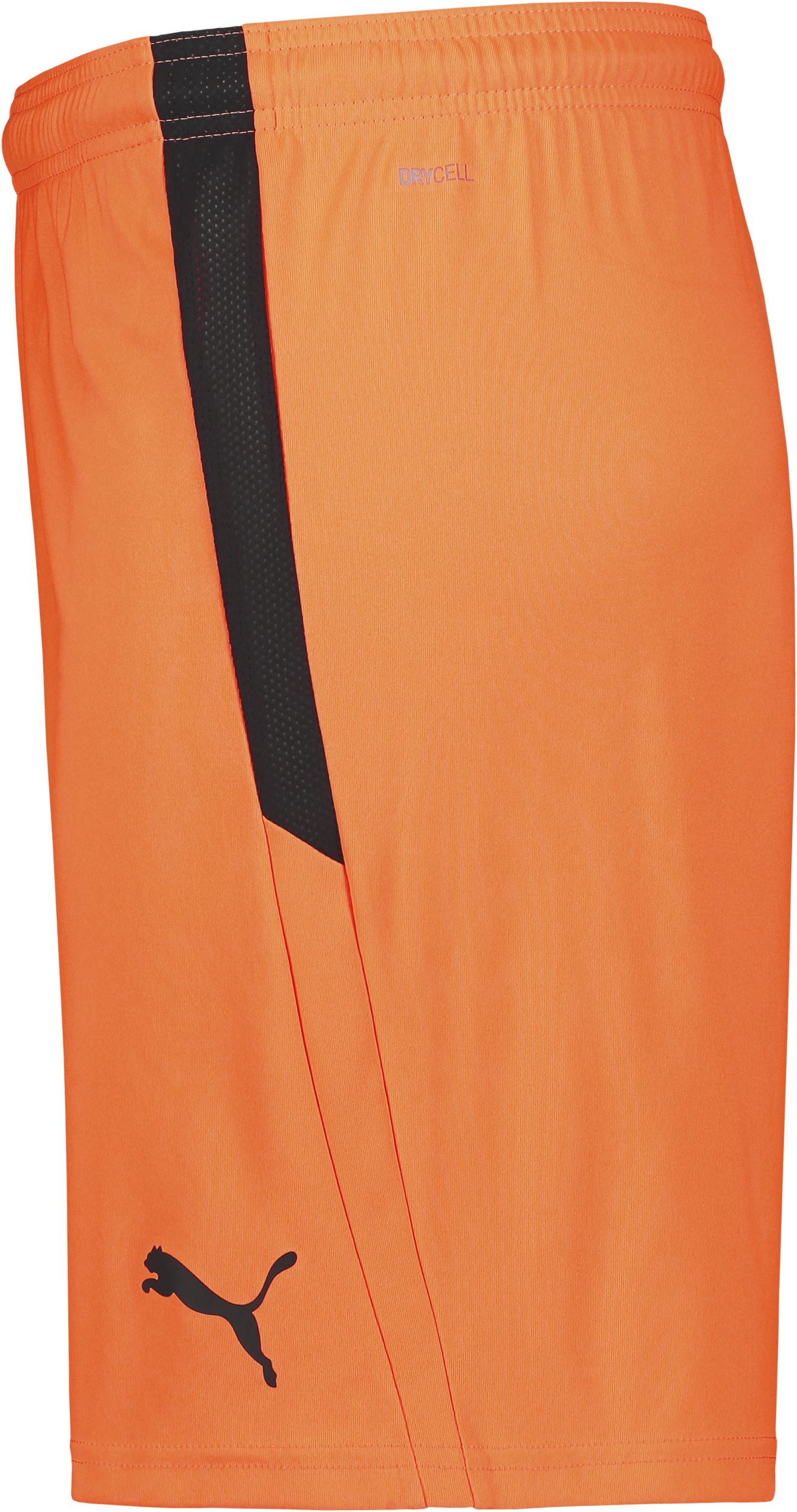 PUMA, T LIGA SHORTS