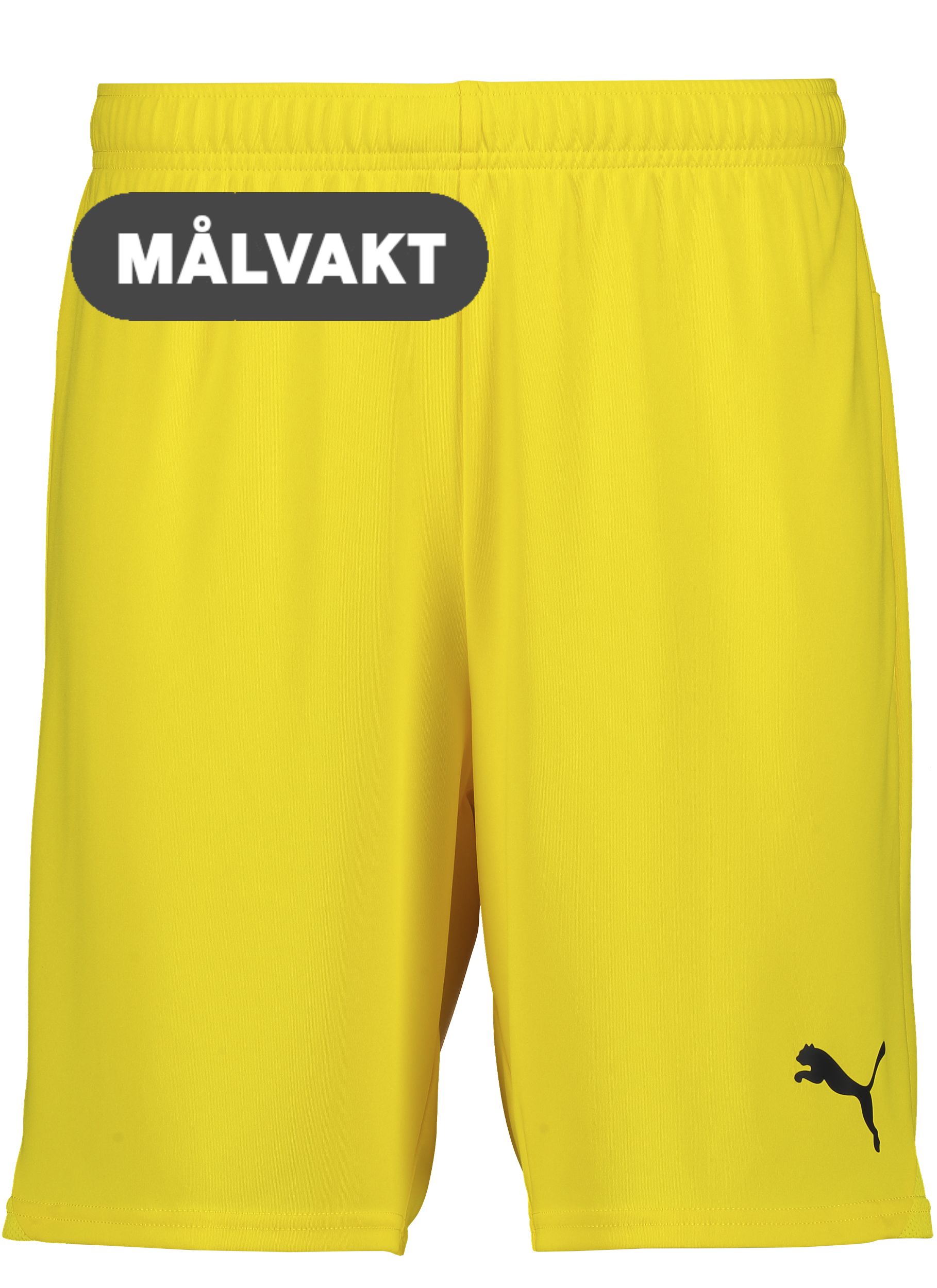 PUMA, T GOAL SHORTS